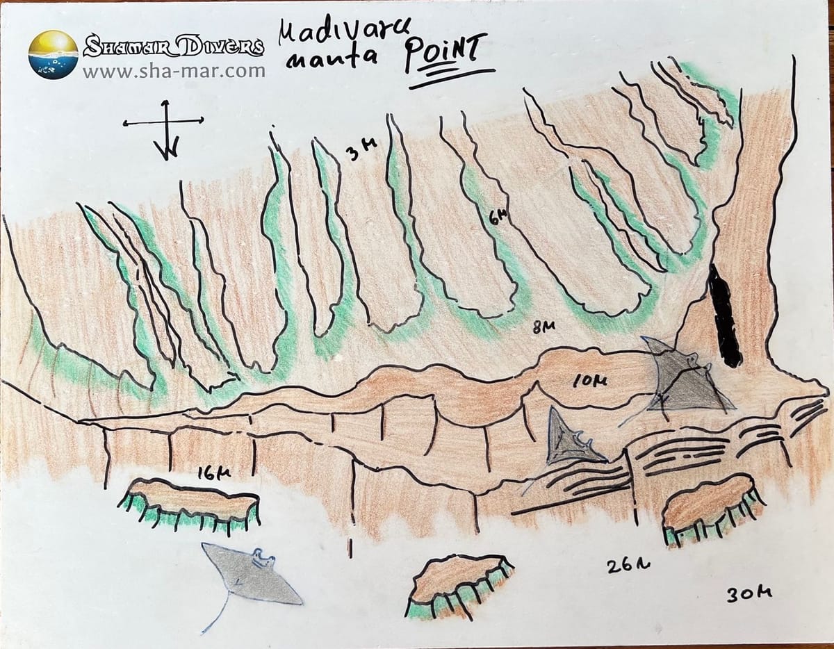 Handgezeichnete Briefing-Karte von Madivaru Manta Point